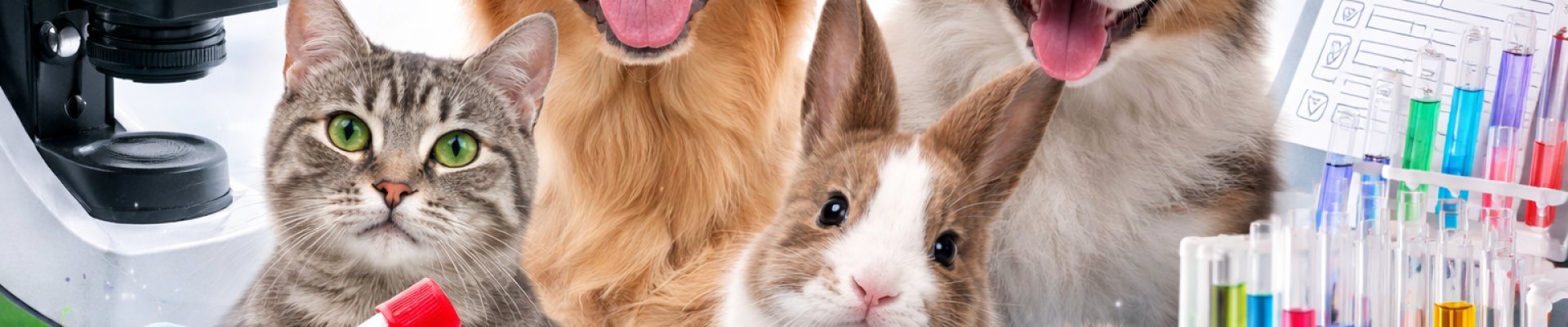 Análise veterinária digital e animais