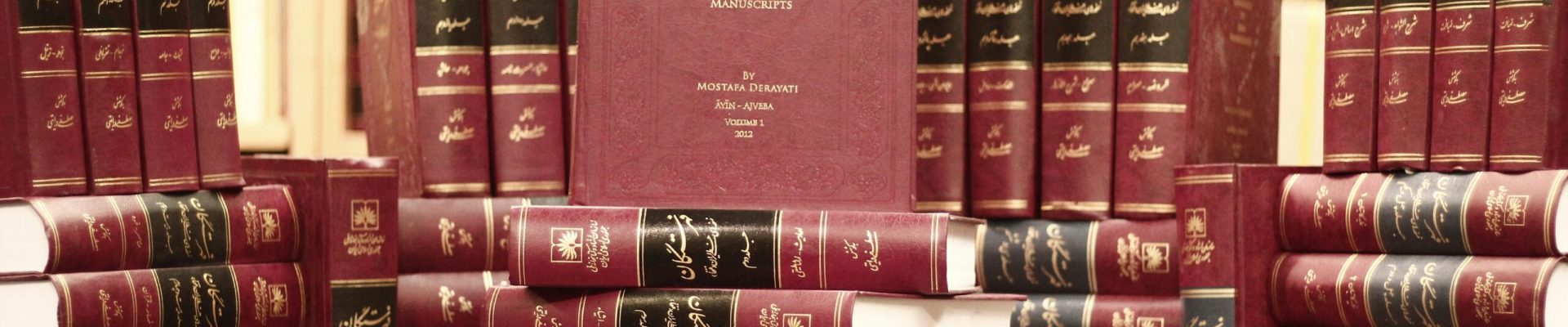 benyamin-bohlouli-LpEyM8nksws-unsplash (1)