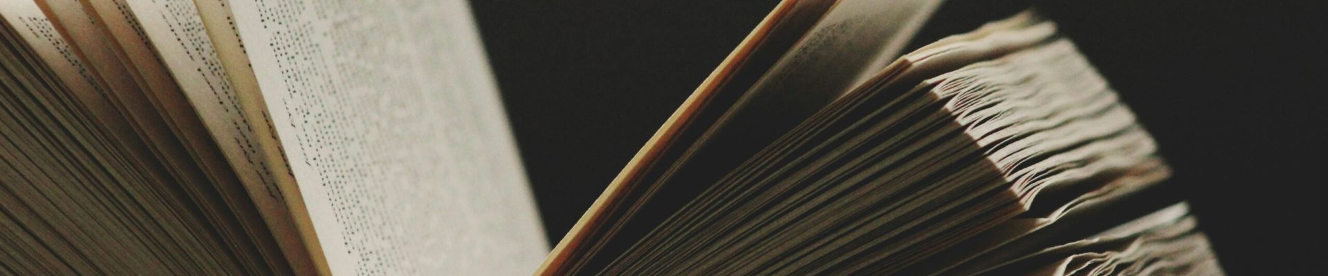 brandi-redd-6H9H-tYPUQQ-unsplash
