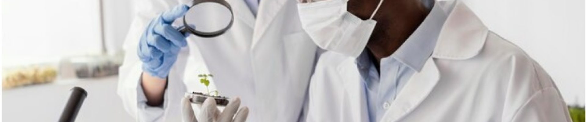 ciencias biologicas
