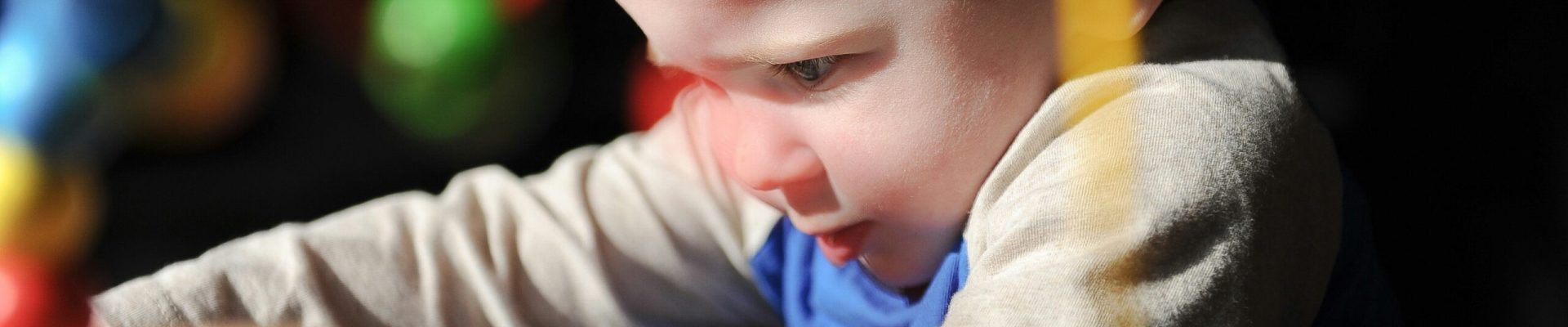 holly-landkammer-PaSwpfg7lNI-unsplash