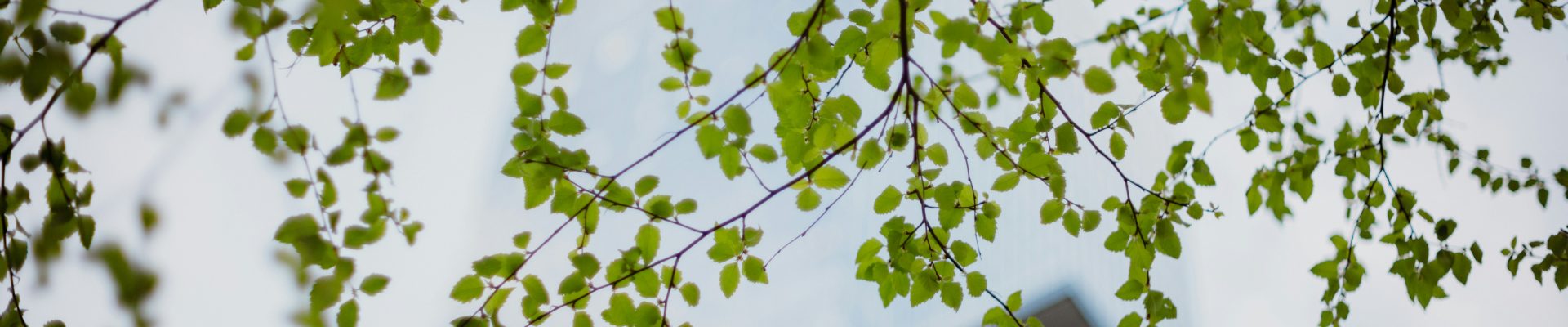 jason-leung-2wDc11XhDOs-unsplash