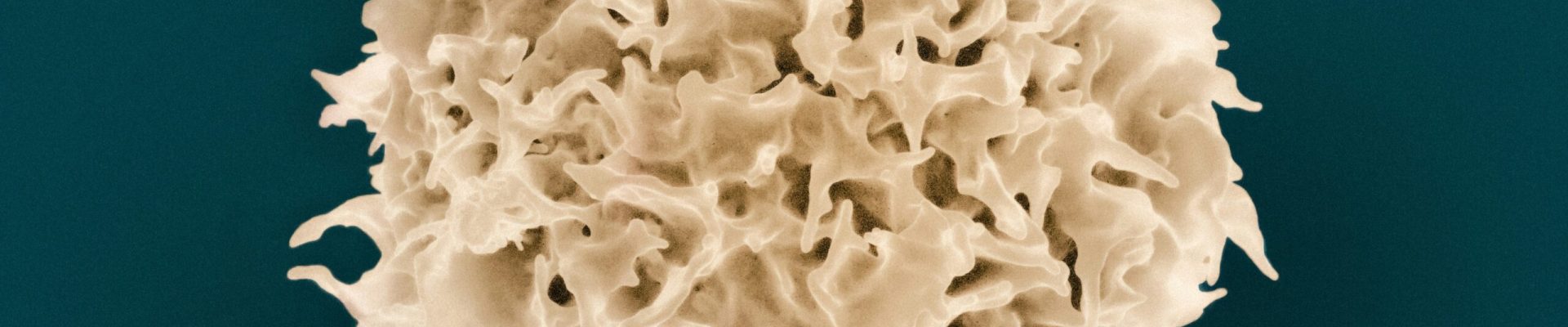 national-institute-of-allergy-and-infectious-diseases-5v0UyRolNwg-unsplash