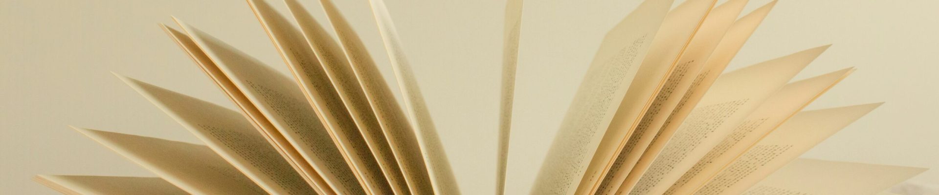 olga-tutunaru-JMATuFkXeHU-unsplash