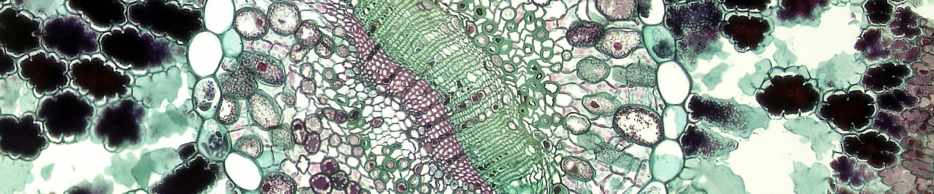 pexels-fayette-reynolds-m-s-181007507-11198505