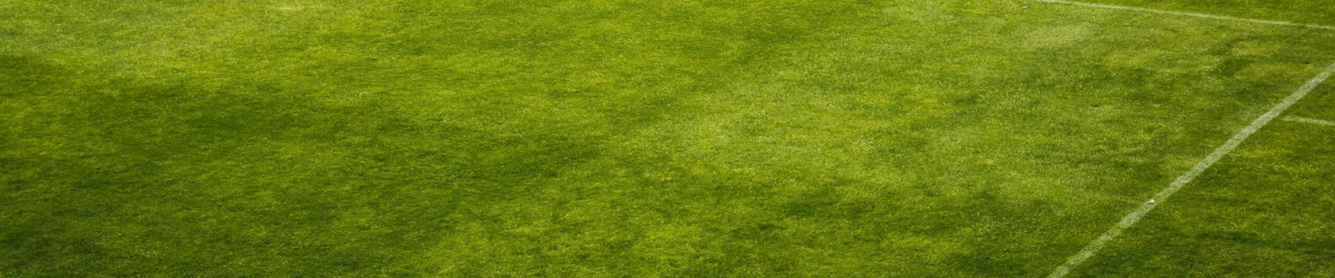 pexels-pixabay-47343