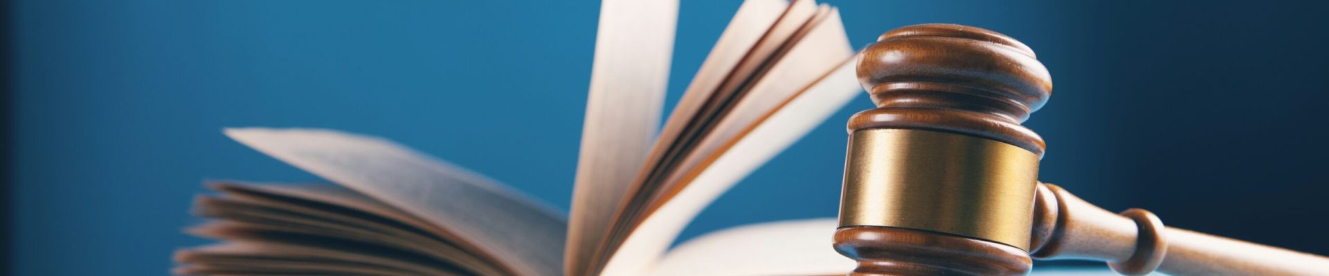 sasun-bughdaryan-ozS0tPf8QT0-unsplash (2)